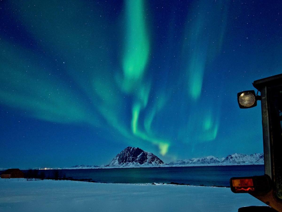 Elstad Farm Lofoten Bostad Dış mekan fotoğraf