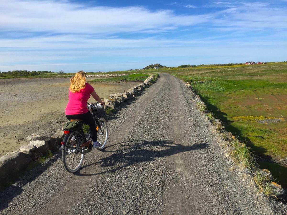 Elstad Farm Lofoten Bostad Dış mekan fotoğraf