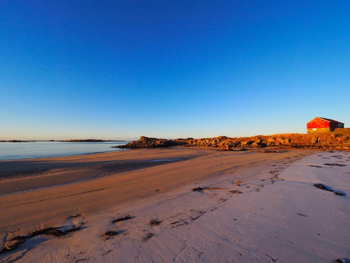 Elstad Farm Lofoten Bostad Dış mekan fotoğraf